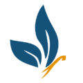 Alchemy Life Changers Inc.